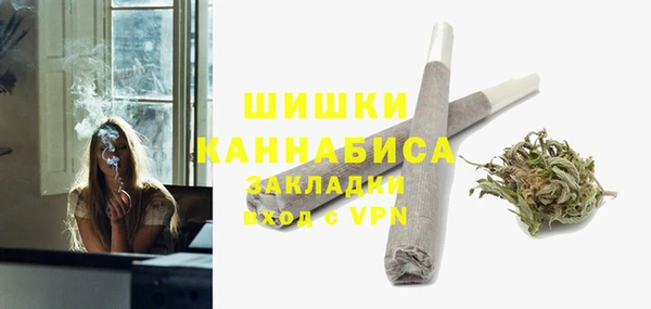 прущие грибы Арсеньев