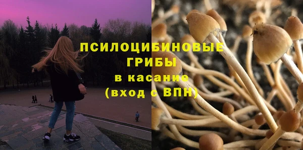 spice Балабаново