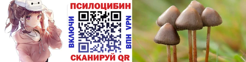 купить наркотик  blacksprut сайт  Псилоцибиновые грибы прущие грибы  Опочка 